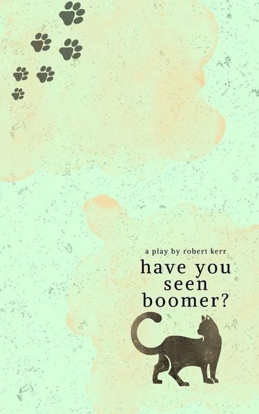 Produktbild: Have You Seen Boomer?