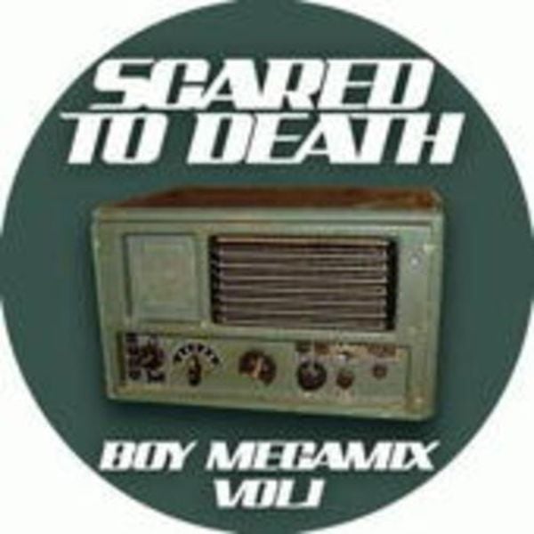 Boy Megamix Vol. 1 - Scared To Death, Vinyl