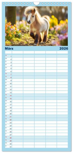 Produktbild: Familienplaner 2026 - Kleine Pferde. Mini-Ponys zum verlieben mit 5 Spalten (Wandkalender, 21 x 45 cm) CALVENDO