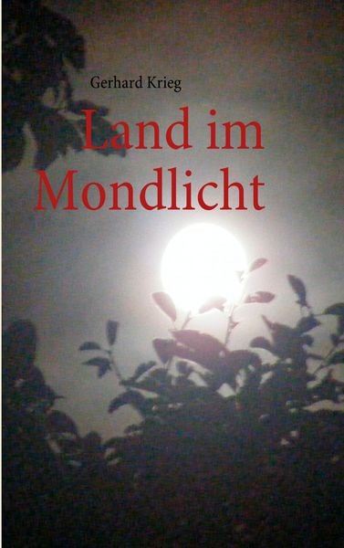 Produktbild: Land im Mondlicht