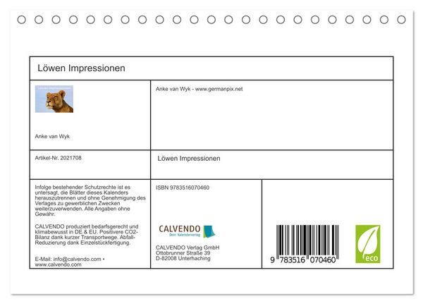 Produktbild: L&ouml;wen Impressionen (Tischkalender 2026 DIN A5 quer), CALVENDO Monatskalender