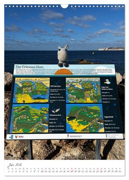 Produktbild: Schorschi auf Reisen ein kleiner Esel unterwegs auf der Insel Malta (Wandkalender 2026 DIN A3 hoch), CALVENDO Monatskalender