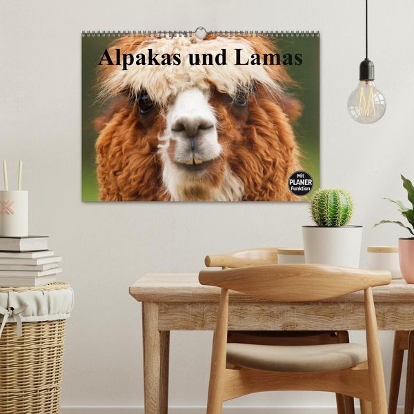 Produktbild: Alpakas und Lamas (Wandkalender 2026 DIN A3 quer), CALVENDO Monatskalender