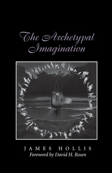 Produktbild: The Archetypal Imagination