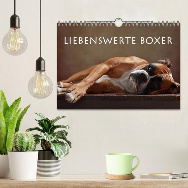 Produktbild: Liebenswerte Boxer (Wandkalender 2026 DIN A4 quer), CALVENDO Monatskalender