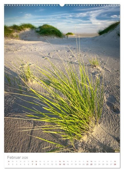 Produktbild: Amrum - Das Gesicht der Nordsee (hochwertiger Premium Wandkalender 2026 DIN A2 hoch), Kunstdruck in Hochglanz