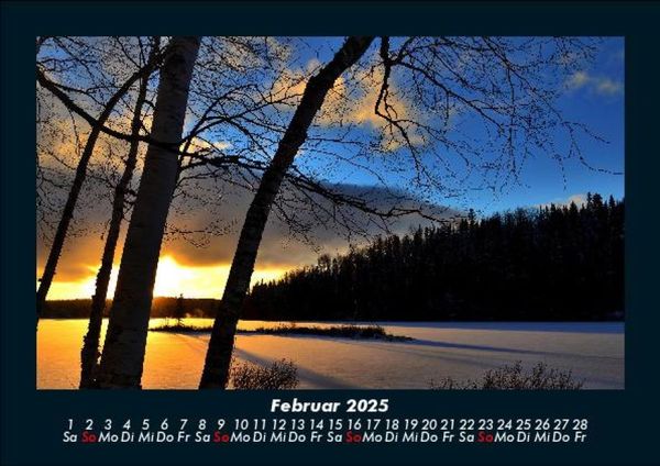 Produktbild: B&auml;ume 2025 Fotokalender DIN A5