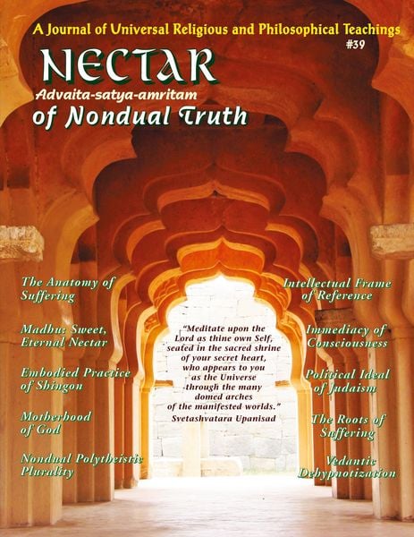 Produktbild: Nectar of Nondual Truth #39