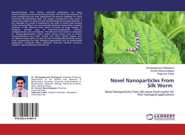 Produktbild: Novel Nanoparticles From Silk Worm