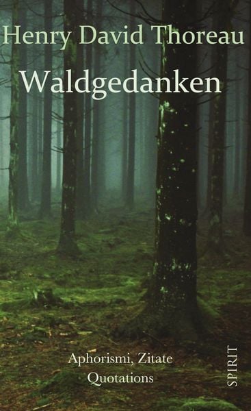 Produktbild: Waldgedanken