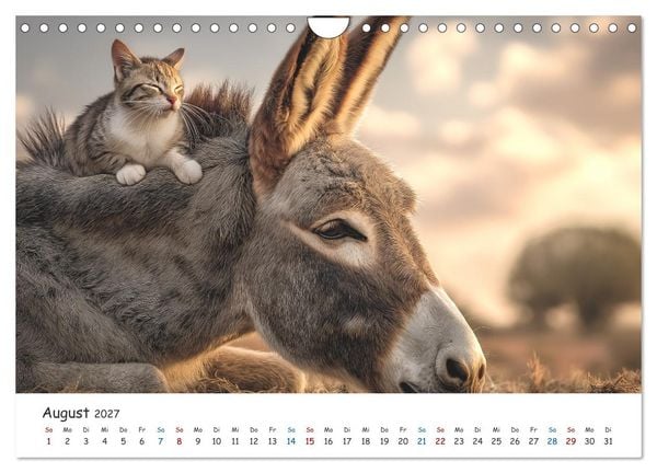 Produktbild: Wenn Tiere Freunde werden (Wandkalender 2027 DIN A4 quer), CALVENDO Monatskalender
