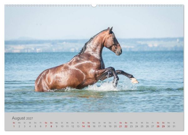 Produktbild: Pferde - Anmut, Eleganz, Magie (hochwertiger Premium Wandkalender 2027 DIN A2 quer), Kunstdruck in Hochglanz