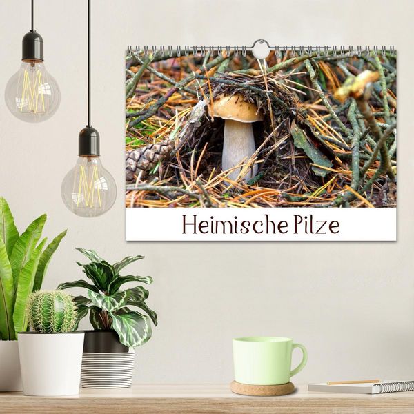 Produktbild: Heimische Pilze (Wandkalender 2026 DIN A4 quer), CALVENDO Monatskalender