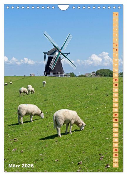 Produktbild: Deutschlands historische Windm&uuml;hlen (Wandkalender 2026 DIN A4 hoch), CALVENDO Monatskalender