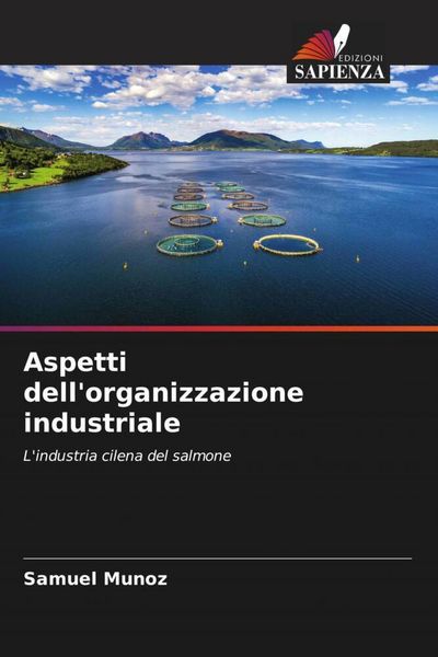 Produktbild: Aspetti dell'organizzazione industriale