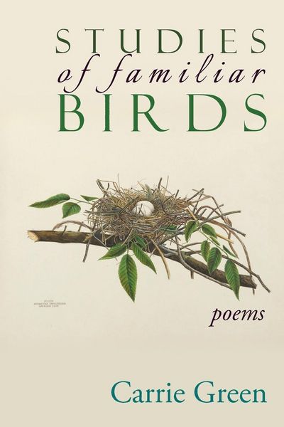 Produktbild: Studies of Familiar Birds