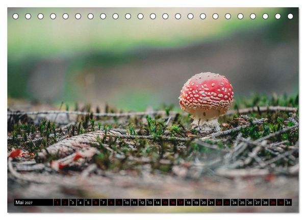 Produktbild: Bayrische Seen und W&auml;lder (Tischkalender 2027 DIN A5 quer), CALVENDO Monatskalender