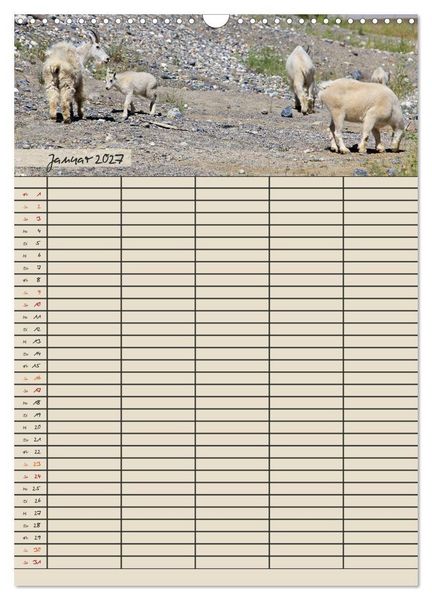 Produktbild: Tierischer Familienplaner (Wandkalender 2027 DIN A3 hoch), CALVENDO Monatskalender