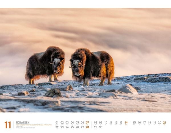 Produktbild: Norwegen Kalender 2027 | Unterwegs zwischen Fjordland und Nordkap