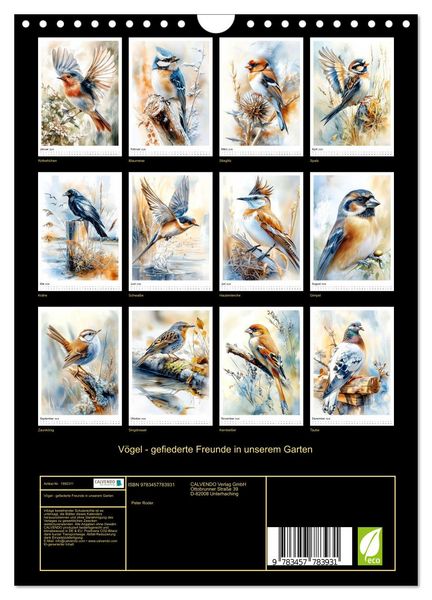 Produktbild: V&ouml;gel - gefiederte Freunde in unserem Garten (Wandkalender 2026 DIN A4 hoch), CALVENDO Monatskalender