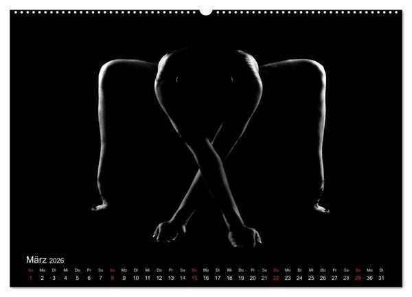 Produktbild: Kunstakt (Wandkalender 2026 DIN A2 quer), CALVENDO Monatskalender