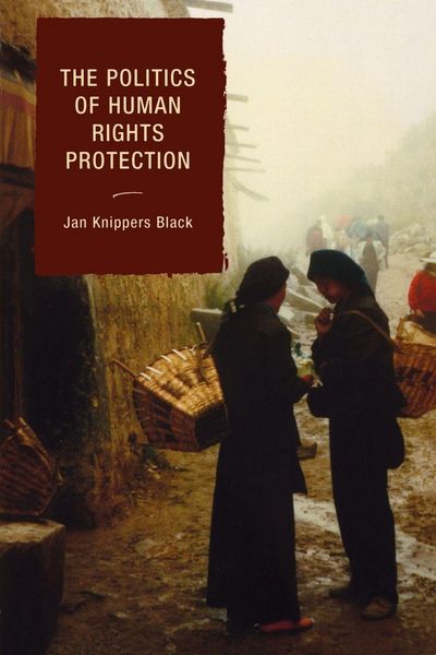 Produktbild: Politics of Human Rights Protection