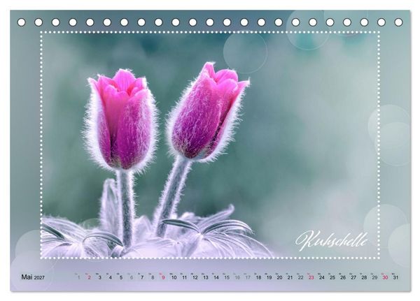 Produktbild: Bl&uuml;tenbouquet (Tischkalender 2027 DIN A5 quer), CALVENDO Monatskalender