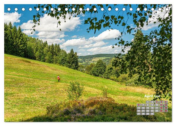 Produktbild: Markneukirchen - Musik & Landschaft einer Region (Tischkalender 2026 DIN A5 quer), CALVENDO Monatskalender