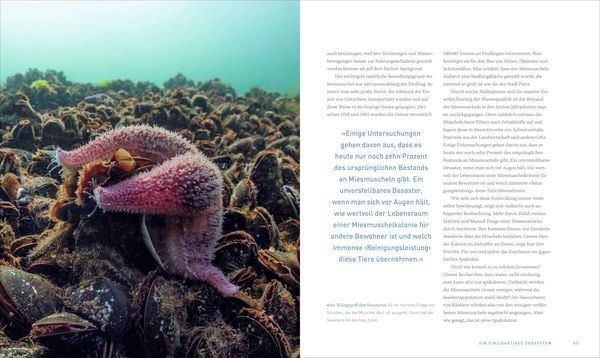 Produktbild: Unsere Meere &ndash; Naturwunder Nord- und Ostsee
