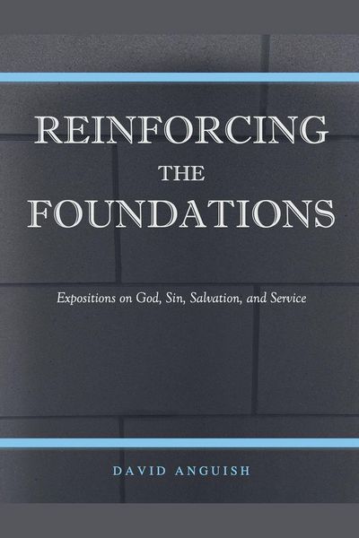 Produktbild: Reinforcing the Foundations