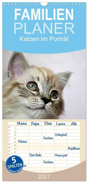 Produktbild: Familienplaner 2027 - Katzen im Portr&auml;t / Geburtstagskalender mit 5 Spalten (Wandkalender, 21 x 45 cm) CALVENDO