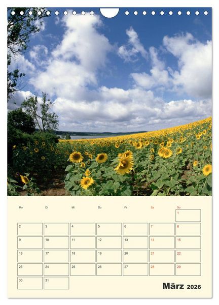 Produktbild: Usedom (Wandkalender 2026 DIN A4 hoch), CALVENDO Monatskalender