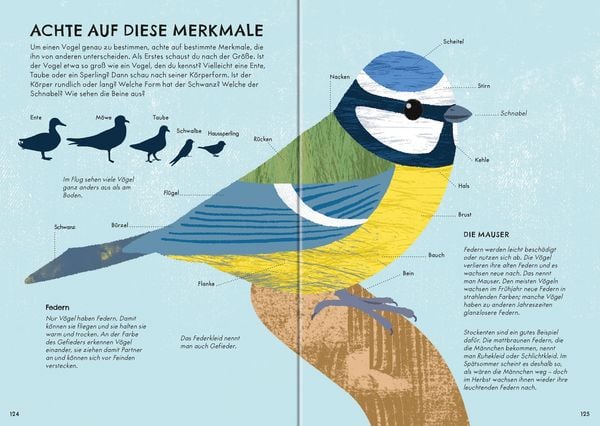 Produktbild: Der gro&szlig;e Ravensburger Naturf&uuml;hrer