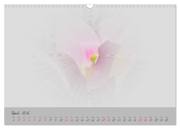 Produktbild: Bl&uuml;ten FineArt (Wandkalender 2026 DIN A3 quer), CALVENDO Monatskalender