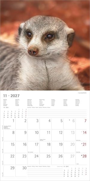 Produktbild: Erdm&auml;nnchen 2027
