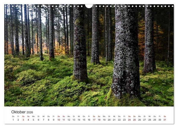 Produktbild: Deutschlands Landschaften 2026 &ndash; Von der K&uuml;ste bis zu den Alpen (Wandkalender 2026 DIN A3 quer), CALVENDO Monatskalender