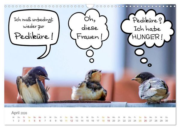 Produktbild: Wenn Schwalben reden (Wandkalender 2026 DIN A3 quer), CALVENDO Monatskalender