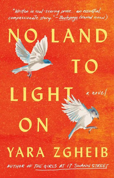 Produktbild: No Land to Light on