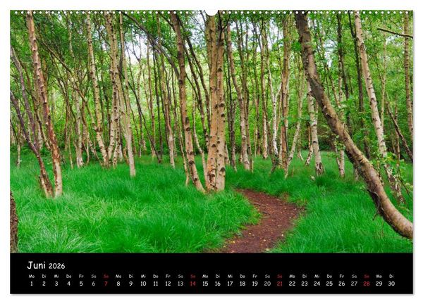 Produktbild: Amrum (hochwertiger Premium Wandkalender 2026 DIN A2 quer), Kunstdruck in Hochglanz