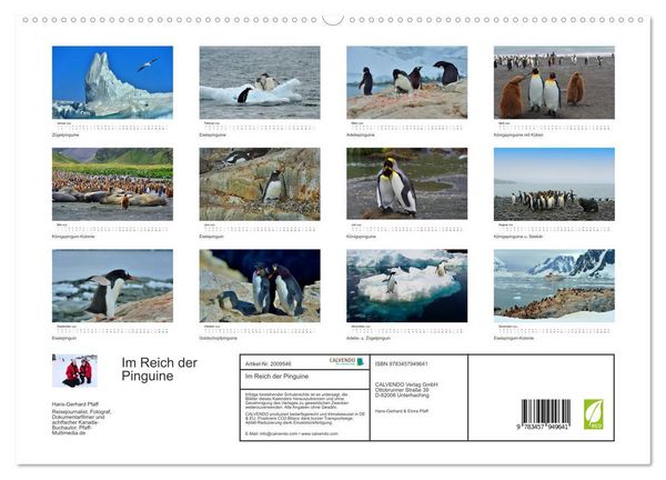 Produktbild: Im Reich der Pinguine (hochwertiger Premium Wandkalender 2026 DIN A2 quer), Kunstdruck in Hochglanz