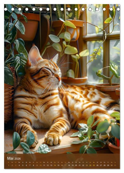 Produktbild: Kuschelkatzen - Fellnasen im Schlummerland (Tischkalender 2026 DIN A5 hoch), CALVENDO Monatskalender