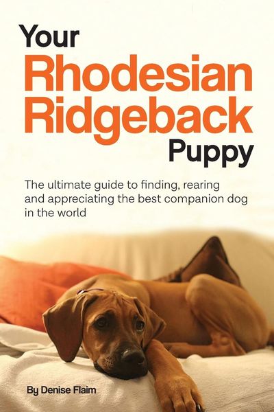 Produktbild: Your Rhodesian Ridgeback Puppy