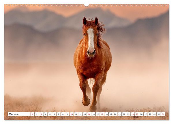 Produktbild: Pferde in freier Natur (Wandkalender 2026 DIN A2 quer), CALVENDO Monatskalender