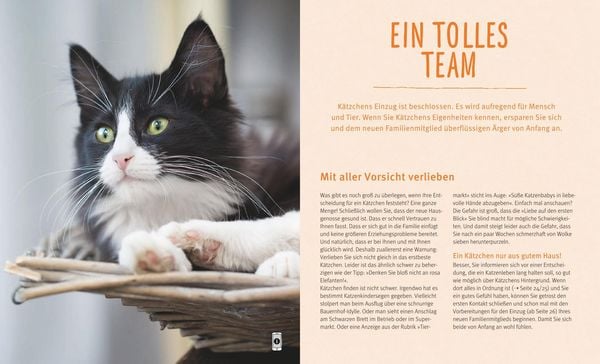 Produktbild: Unser Kätzchen