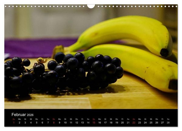 Produktbild: Kleine B&auml;nderschnecke ganz gro&szlig; - Gem&uuml;tlich durch das neue Jahr (Wandkalender 2026 DIN A3 quer), CALVENDO Monatskalender