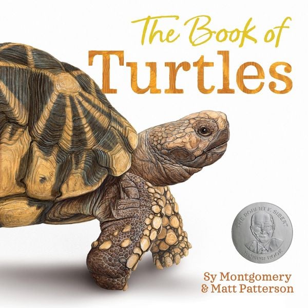 Produktbild: The Book of Turtles