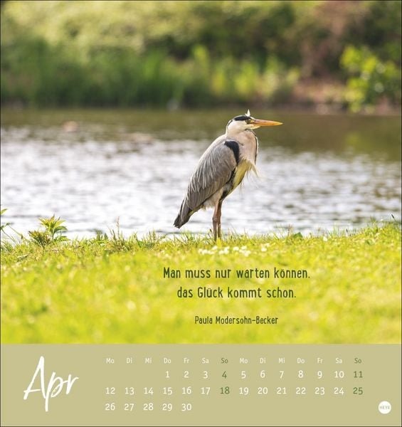 Produktbild: Never give up! Postkartenkalender 2027 - Durchhalten. Denn alles wird gut.