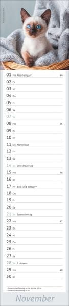 Produktbild: times&more Katzen Langplaner 2027