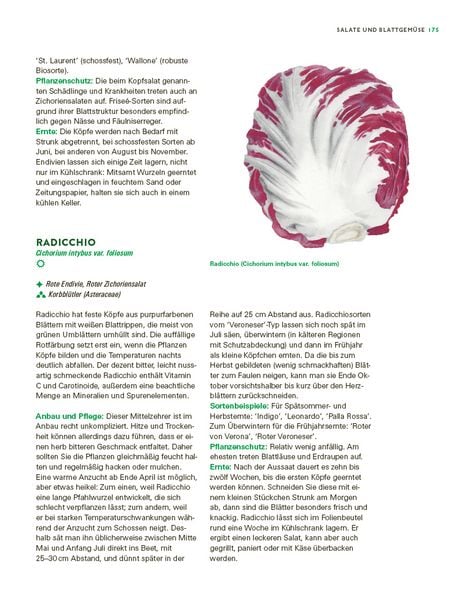 Produktbild: Das gro&szlig;e Gem&uuml;se- und Obstgartenbuch