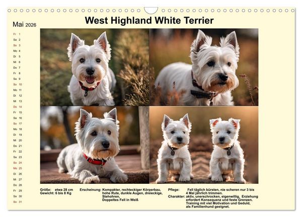 Produktbild: Terrier-Rassen im Portrait (Wandkalender 2026 DIN A3 quer), CALVENDO Monatskalender